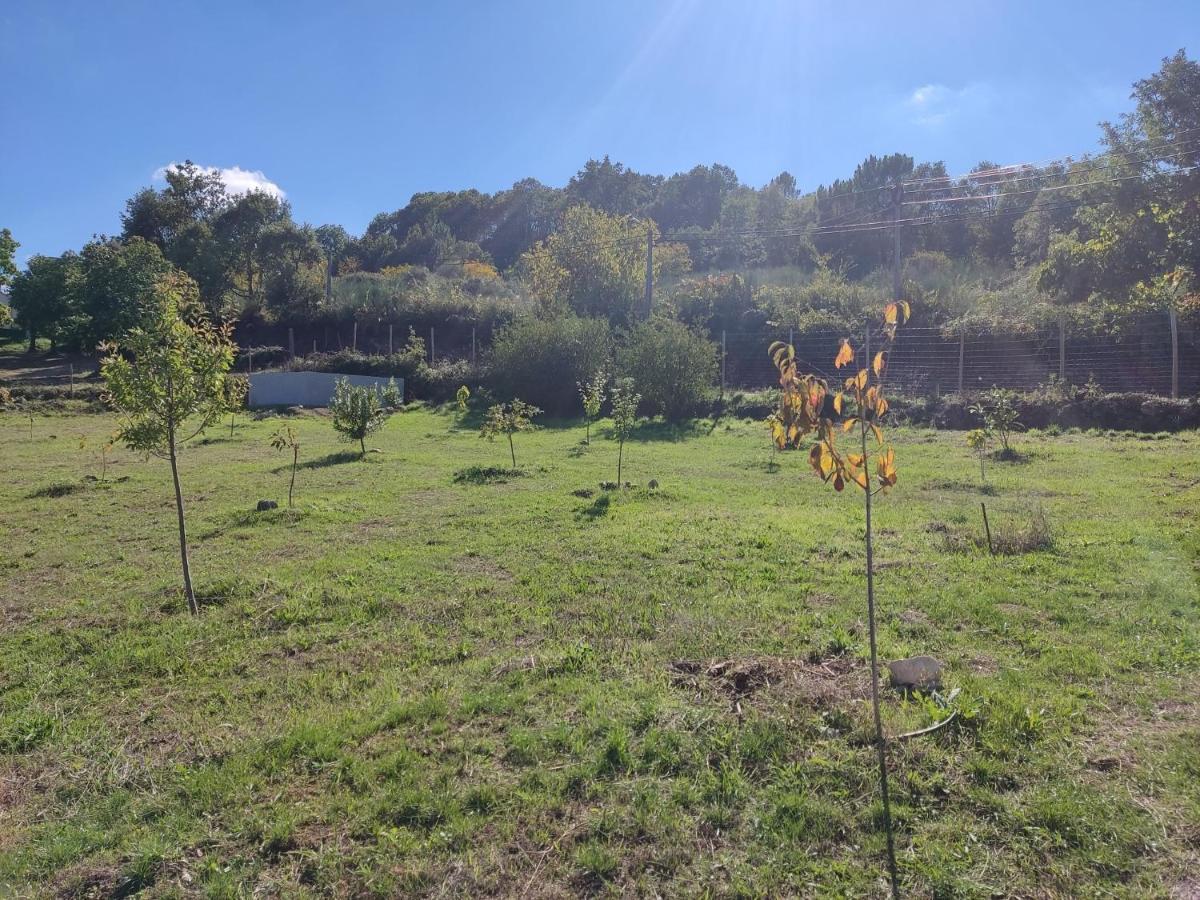 Tinyhouse Rossas Villa Santa Comba de Rossas Kültér fotó